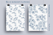 Blue rosehip flowers, a Decorative Illustration by LanaDzi (Thumbnail 6 of 12)