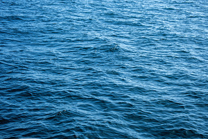 Waves in ocean water surface