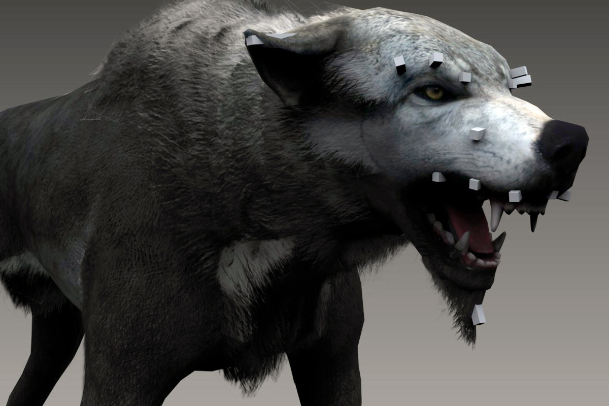 Wolf, an Animal 3D Model by Game-Ready Studio (Photo 4 of 5)