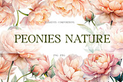 Peach Peony Watercolor Floral, a Decorative Illustration by NatalieArtsDenysenko (Thumbnail 1 of 5)