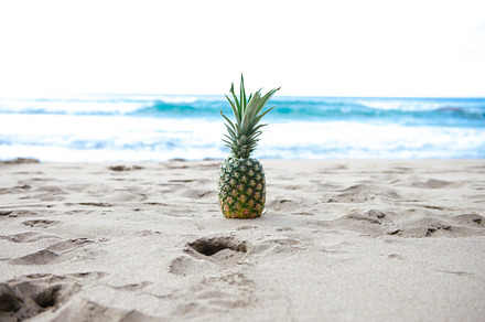 Pineapple featuring pineapple, pineapples, and beach