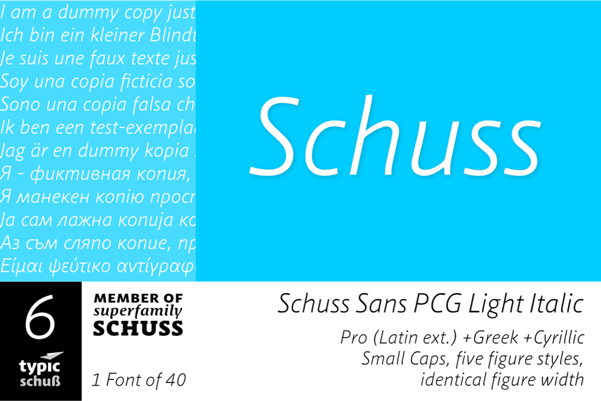 SchussSansPCGLightIta No.06 (1 Font)