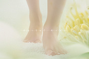 Hazy Botanical Vellum Backgrounds, a Graphic by DigitalDream (Thumbnail 8 of 9)