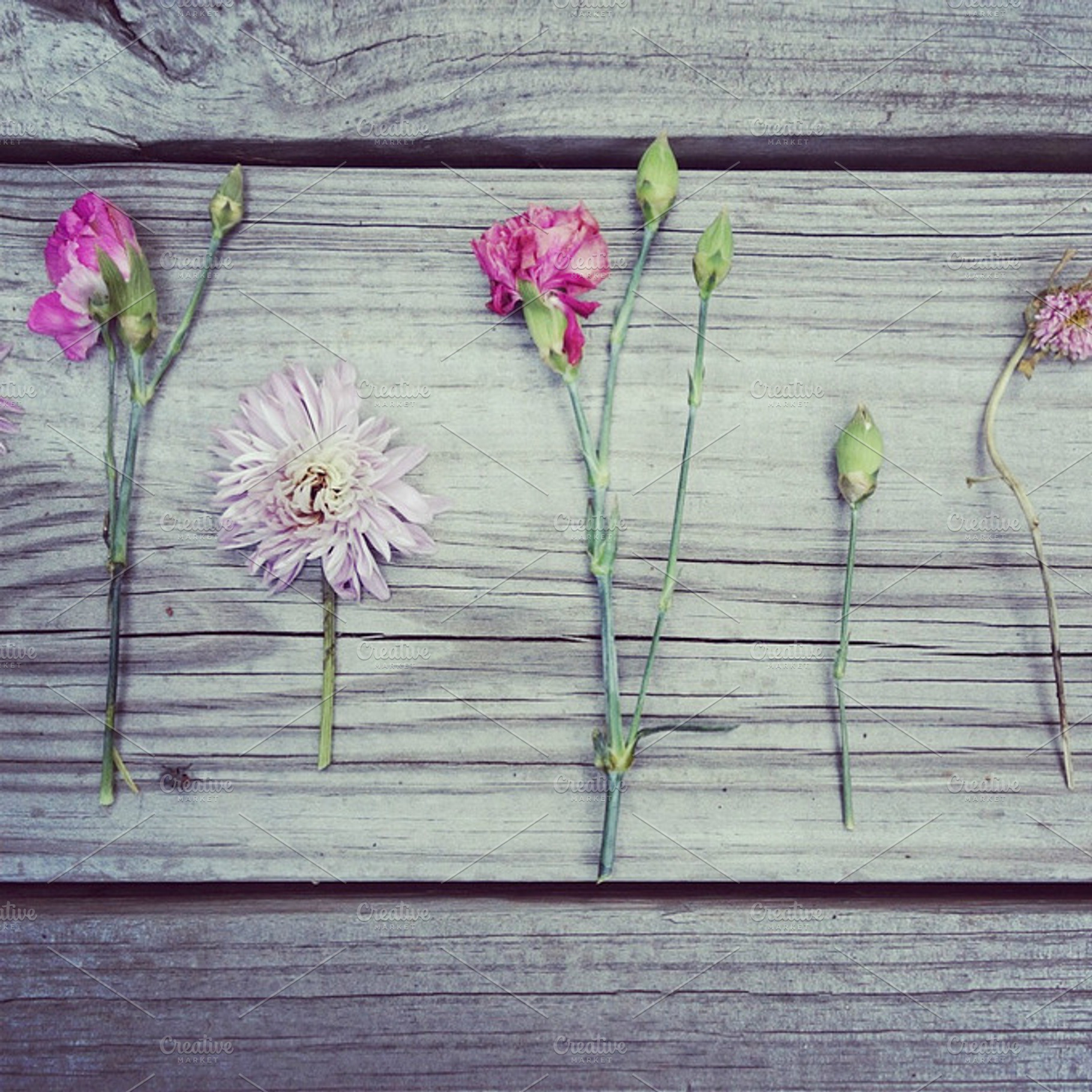 Simple Buds