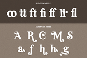 Sogela, a Serif Font by Black Junst (Thumbnail 10 of 10)