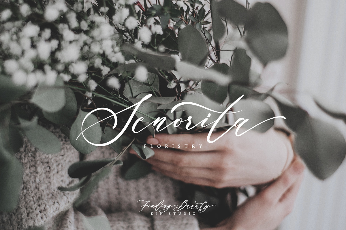 Finding Beauty, a Script Font by din-studio.com (Photo 9 of 9)