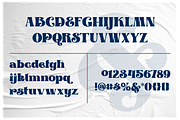 Santoryu - Retro Display Font, a Sans Serif Font by Badsign Type (Thumbnail 2 of 10)