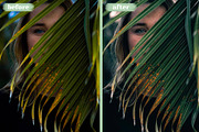 Avocado Lightroom Mobile Preset, a Preset Add-On by Wethepresets (Thumbnail 3 of 3)