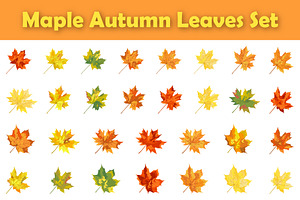 Autumn Maple Leaf Set