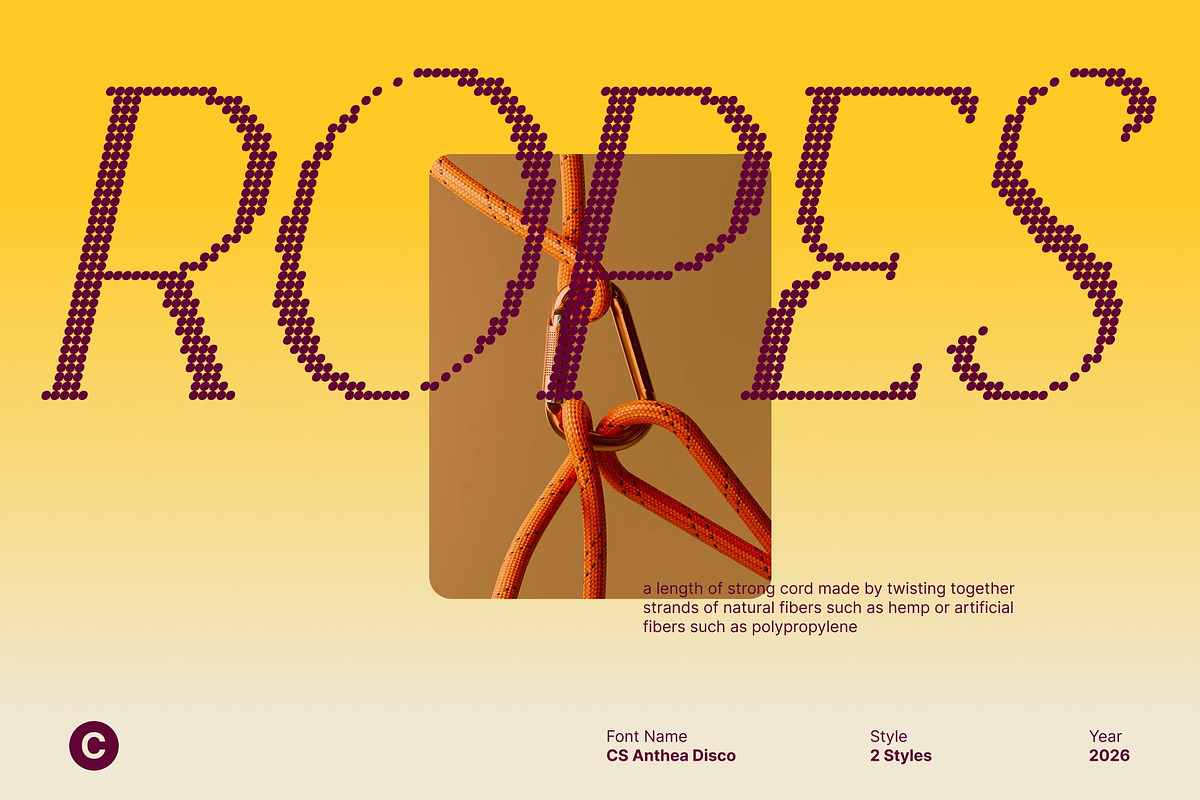 CS Anthea Disco, a Serif Font by Craft Supply Co. (Photo 7 of 8)