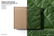 Realistic Green Leaf Textures, a Texture Graphic by Ary_ngeblur (Thumbnail 4 of 4)