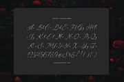 Avilantery Elegant Calligraphy, a Script Font by gracetype_studio (Thumbnail 10 of 12)