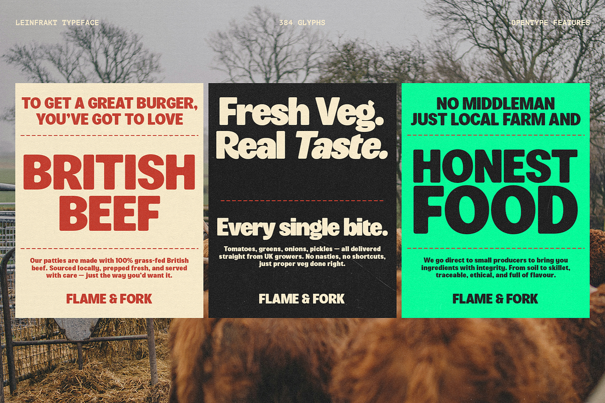Leinfrakt - Heavy Display Sans, a Sans Serif Font by Shapespired Design (Photo 15 of 16)