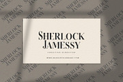 Serizawa - Classic Serif Font, a Serif Font by StringLabs (Thumbnail 9 of 12)