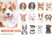 Animals Watercolor Clipart Bundle, an Animal Illustration by Cat In Colour (Thumbnail 2 of 41)