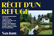 Savium - High Contrast Serif Font, a Serif Font by Pokal Studio (Thumbnail 8 of 12)