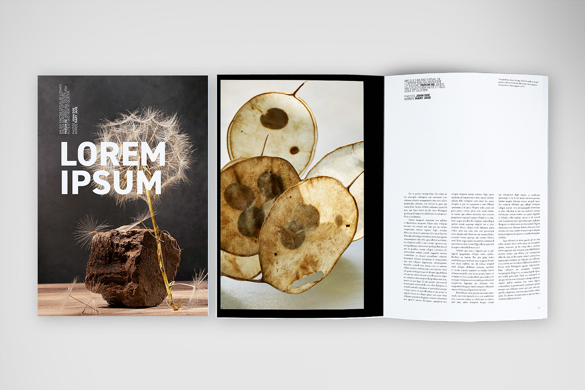 Minimal Nature-Inspired Magazine preview 5