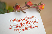 Sefilya | Beauty Script, a Script Font by Almeera Std (Thumbnail 8 of 10)