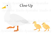 Duck Mom & Babies Clipart Set, an Animal Illustration by dogsinarow (Thumbnail 2 of 3)