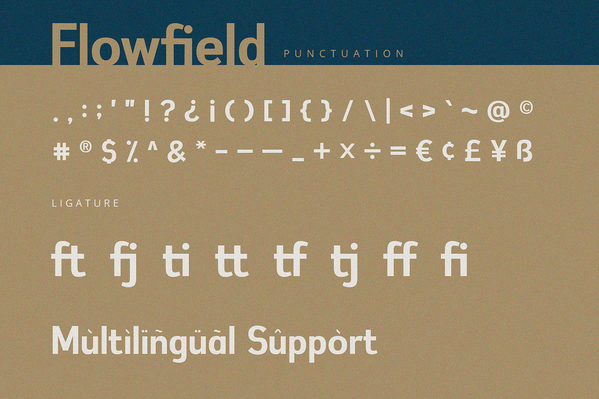 Flowfield - Sans Serif Font, a Sans Serif Font by Alpaprana (Photo 9 of 10)