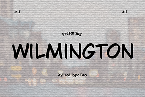 Bold & Modern Stylized Display Font