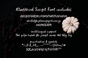 Blackbird crayon script SVG font, a Script Font by Ana's Fonts (Thumbnail 2 of 9)