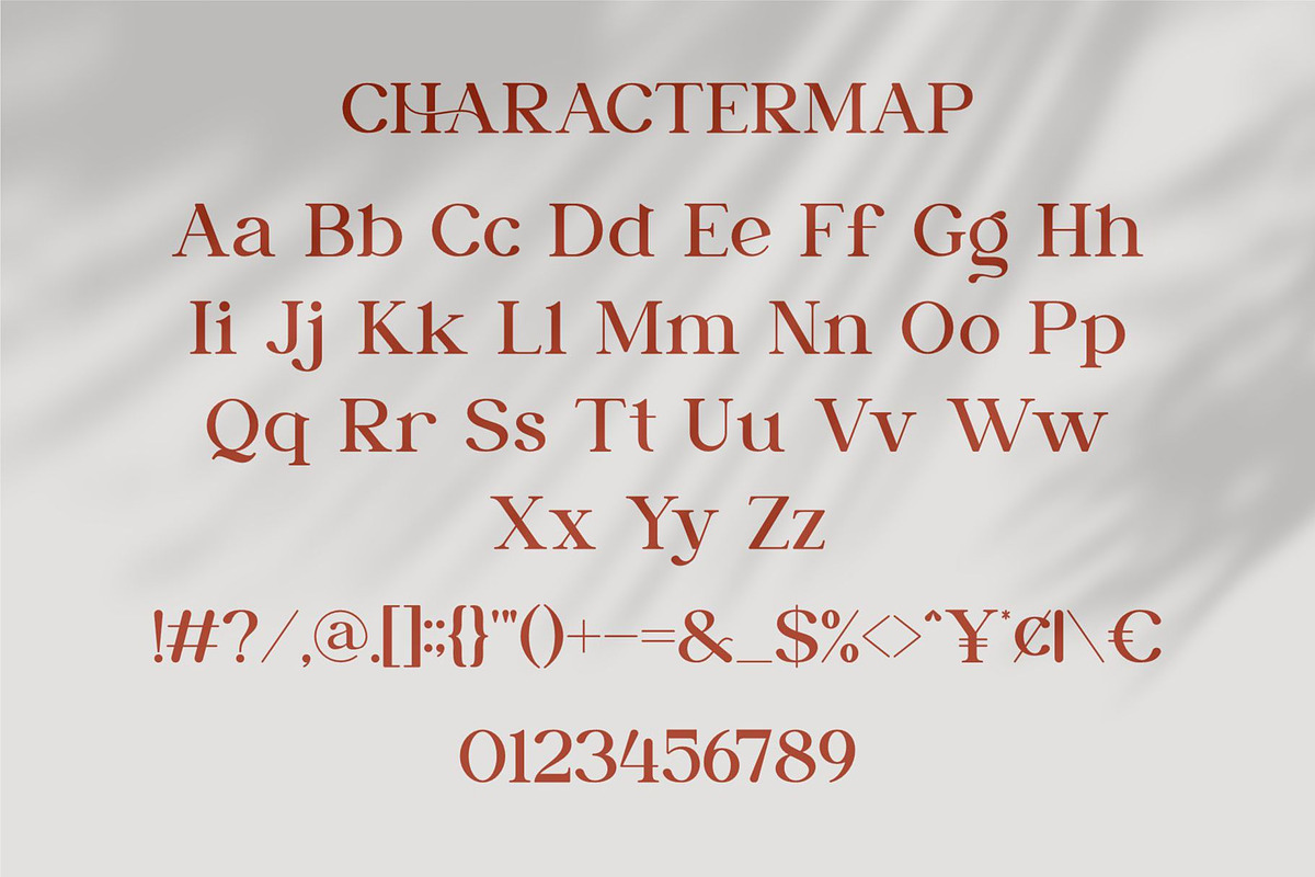 Daisya || Modern Serif Font, a Serif Font by Ermedia Studio (Photo 11 of 11)