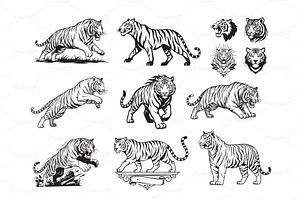 Dynamic vector collection of tigers, an Animal Illustration by yod67