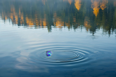 A small blue object gently floats on, a Photo by Iftikhar Alam