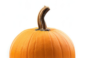 Close-up orange pumpkin isolated on white background, a Food & Drink Photo by José Manuel Gelpi