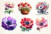 Anemone Flower Bloom Clipart, an Illustration by Dream Creation (Thumbnail 4 of 6)