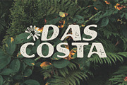Alton - Terrestrial Typefaces, a Sans Serif Font by Rusted Works (Thumbnail 2 of 7)