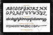 Monoline Script - Shadenia, a Script Font by Novitype (Thumbnail 12 of 13)