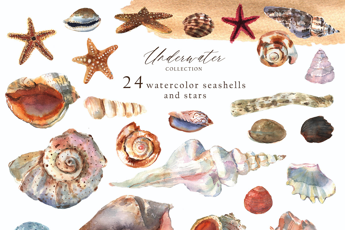 Watercolor whale. Sea underwater set, an Animal Illustration by Julycolor (Photo 9 of 21)