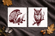 Woodland Mystic Animals & Botanical, a Decorative Illustration by Christine Krahl (Thumbnail 5 of 12)