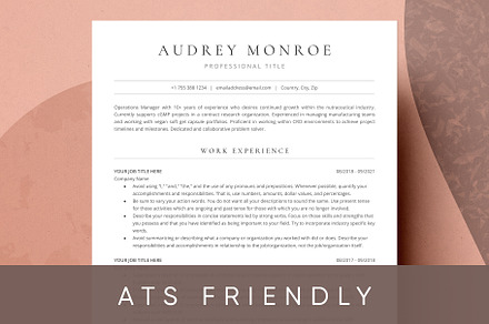 ATS Resume For Google Docs And Word, a Resume Template by DemeDesign