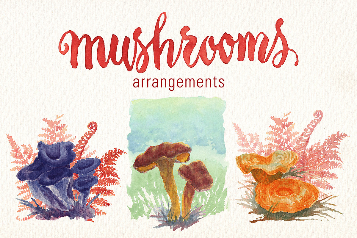 MUSHROOMS WATERCOLOR CLIPART SET, a Food Illustration by Art & Things (Photo 2 of 5)