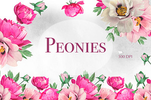 Watercolor Pink Peonies Clipart