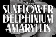 Swingline - Variable 1930s Font, a Sans Serif Font by The Type Fella (Thumbnail 7 of 12)