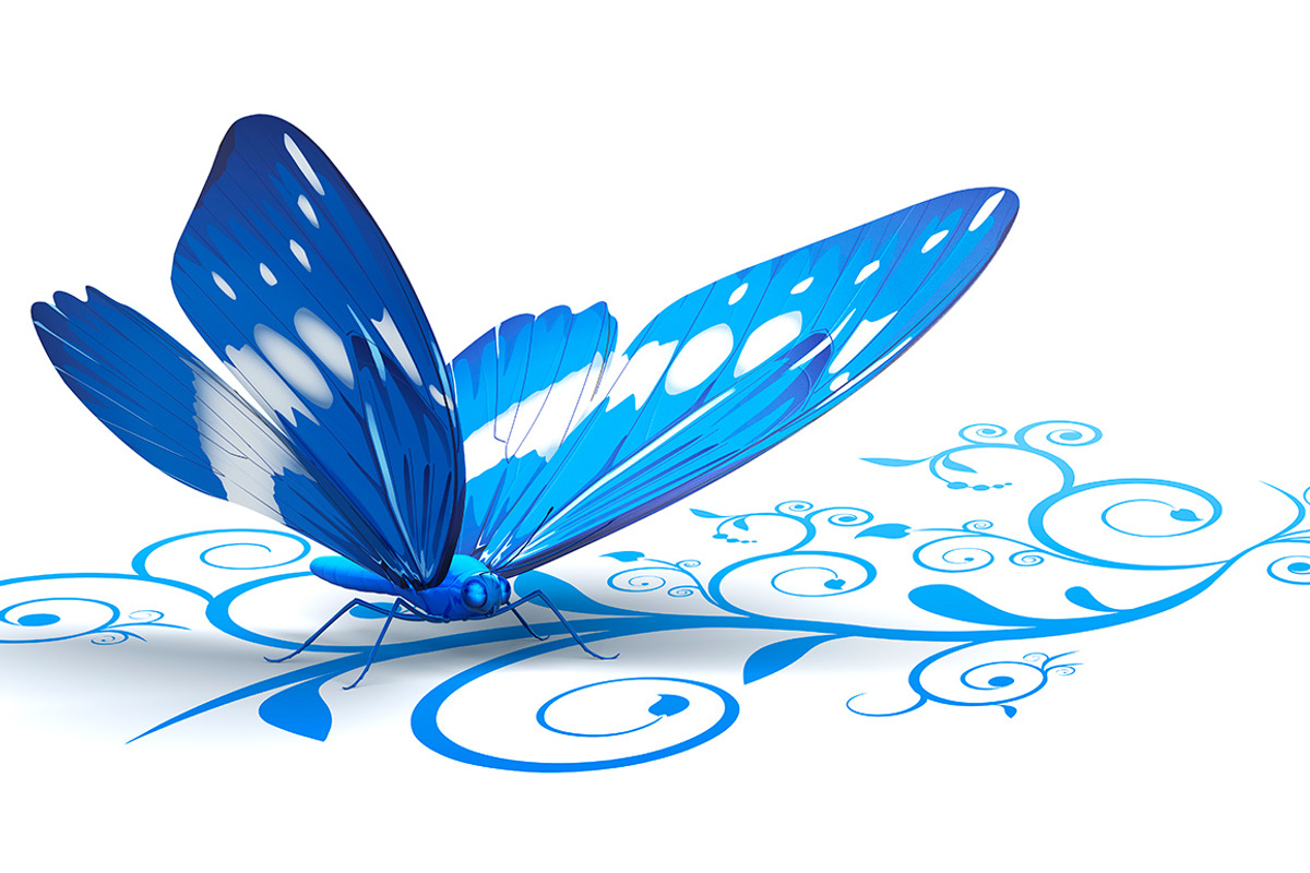 Butterfly preview 4