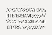 Lecmer Elegant Ligature Serif Font, a Serif Font by Perfectype (Thumbnail 8 of 8)