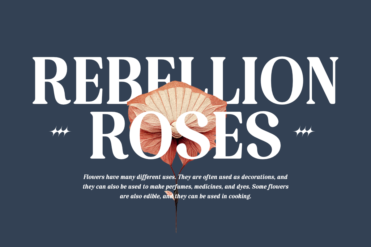 Esatis Smoothen - Serif Family, a Serif Font by Differentialtype (Photo 11 of 12)