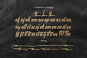 Losiento | Brush Handwritten Font, a Handwritten Font by Denustudios (Thumbnail 15 of 15)