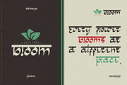 Aishwarya Indian Serif, a Serif Font by infernostudio3 (Thumbnail 2 of 11)