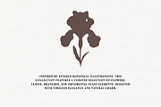 Floral Series Bundle: All 5 in 1, an Object Illustration by Veyla (Thumbnail 35 of 46)