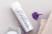 Princely Agatha Stylish Calligraphy, a Script Font by stylishtype.co (Thumbnail 14 of 20)