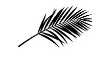 Stylish tropical palm wall decor, an Illustration by Amazin_art (Thumbnail 32 of 33)