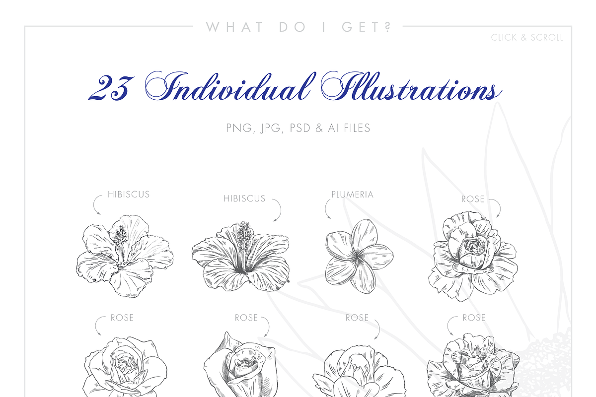 Line Floral Illustrations & Patterns, an Illustration by Riveros Illustration (Photo 2 of 11)