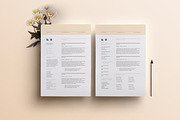 Resume Template 3 Page | CV Template, a Resume Template by The Template Depot (Thumbnail 1 of 5)