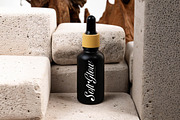 Brellight Elegant Script Font, a Script Font by timelesstype.co (Thumbnail 12 of 20)